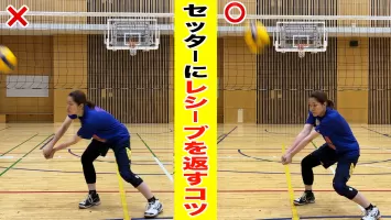 家で一人でできるバレーボール上達練習 S Dバレーボール 無料動画goody Tv