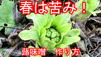 大葉の天ぷら 綺麗に上げる揚げ方のコツと色々な上げ方 和食の技術チャンネル 無料動画goody Tv