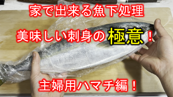 ハマチ ご家庭用 魚の下処理の極意解説 和食の技術チャンネル 無料動画goody Tv